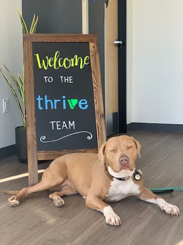 Pet boarding service Thrive Pet Healthcare Urgent Care (Torrance) Torrance