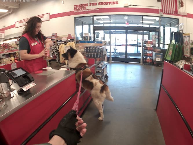 Pet boarding service Tractor Supply Co. Clovis