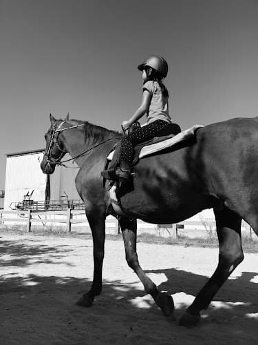 Pet boarding service Triple R Boarding Stables Glendale