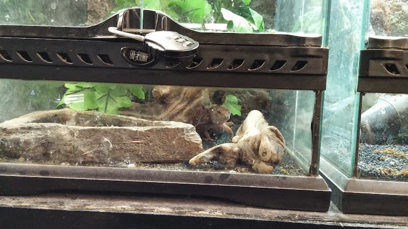 Pet boarding service Tropical Haven Modesto