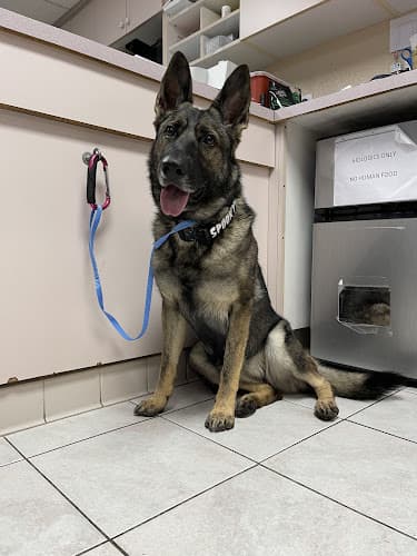 Pet boarding service Tustin Santa Ana Vet Hospital Santa Ana