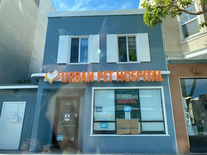Pet boarding service Urban Pet Hospital San Francisco