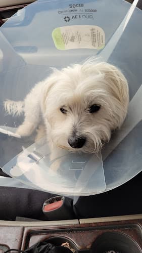 Pet boarding service Valley Pet Care Modesto