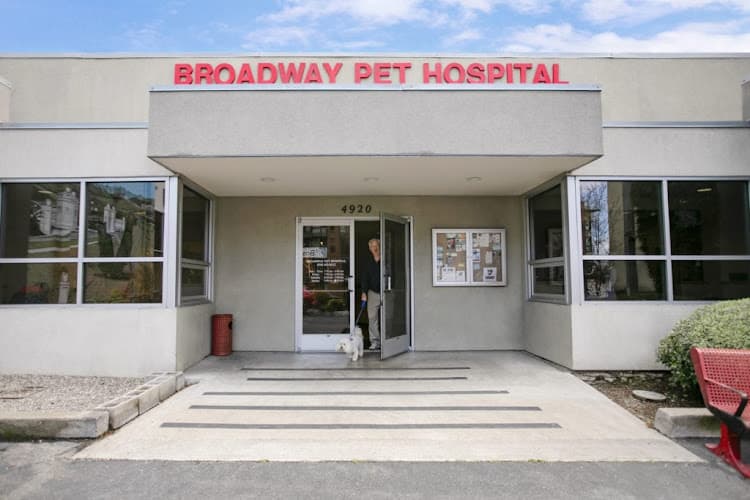 Pet boarding service VCA Broadway Animal Hospital Oakland