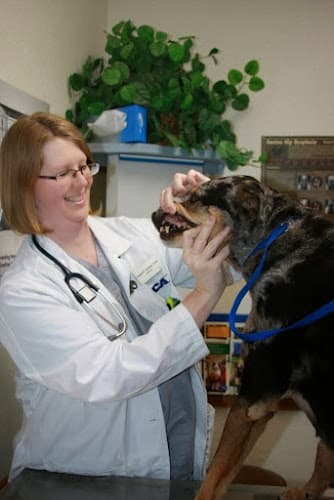 Pet boarding service VCA Crestwood Animal Hospital Lancaster