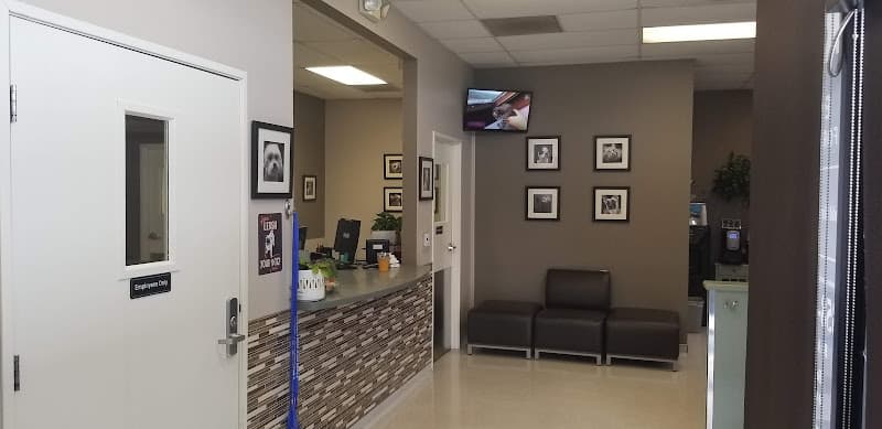 Pet boarding service VCA Eye Clinic for Animals San Diego