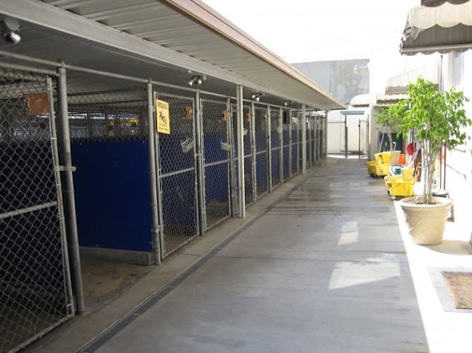 Pet boarding service VCA La Mirada Animal Hospital Fullerton