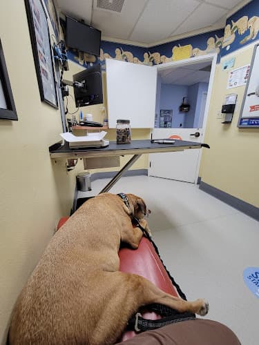 Pet boarding service VCA Monte Vista Animal Hospital Concord