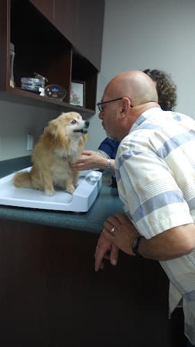 Pet boarding service VCA Pacific Veterinary Center Torrance