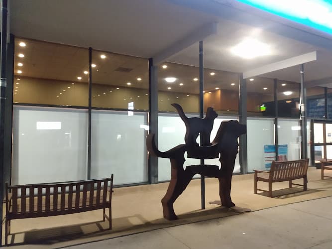 Pet boarding service VCA Veterinary Specialists of the Valley Glendale