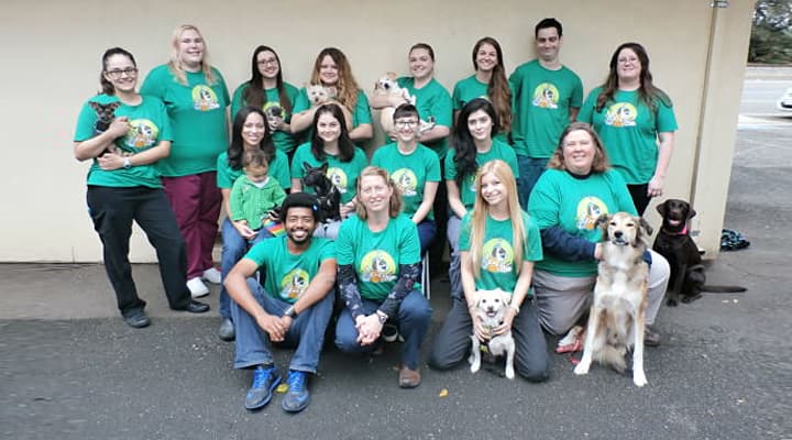 Pet boarding service VCA Westside Animal Hospital Sacramento