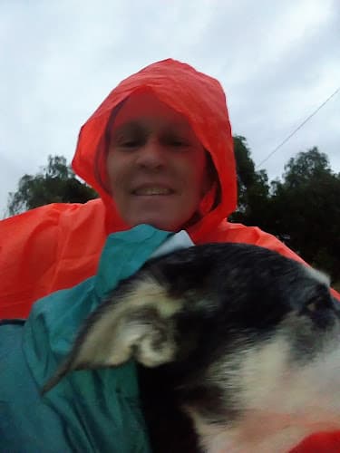 Pet boarding service Ventura Pet Barn Ventura