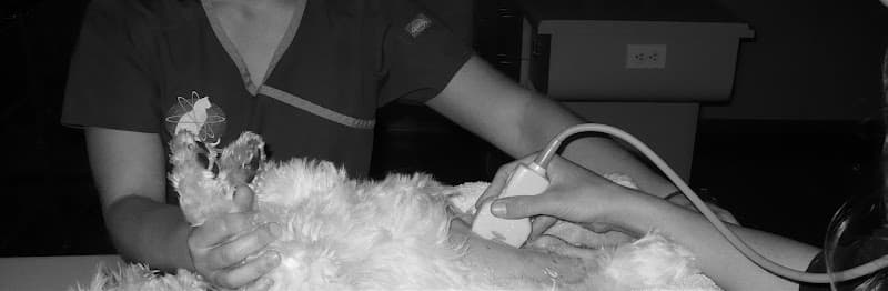 Pet boarding service Veterinary Imaging Center of San Diego San Diego