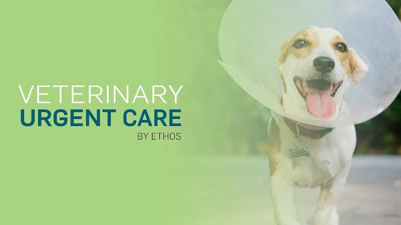 Pet boarding service Veterinary Urgent Care - Oceanside Oceanside