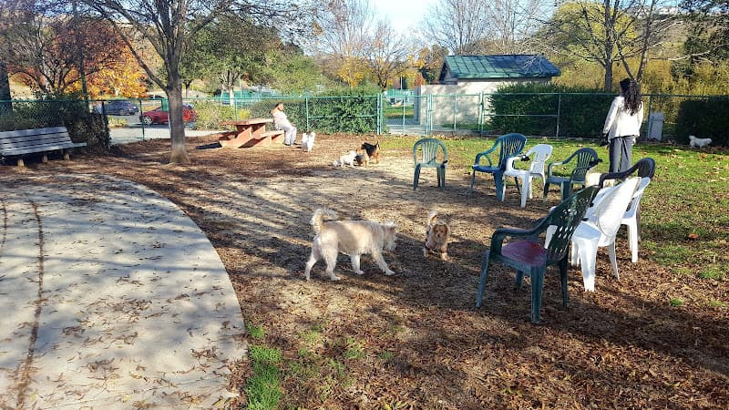 Pet boarding service Wardlaw Park Vallejo