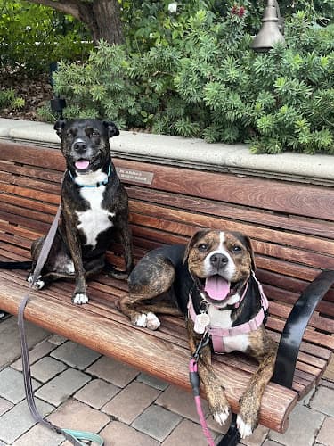 Pet boarding service West Coast Animal Hospital San Diego