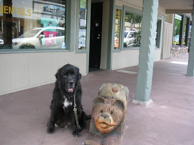 Pet boarding service West Coast Pet Memorial Escondido