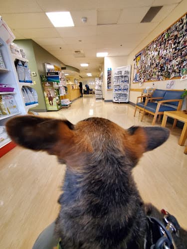 Pet boarding service West Seattle Animal Hospital Seattle