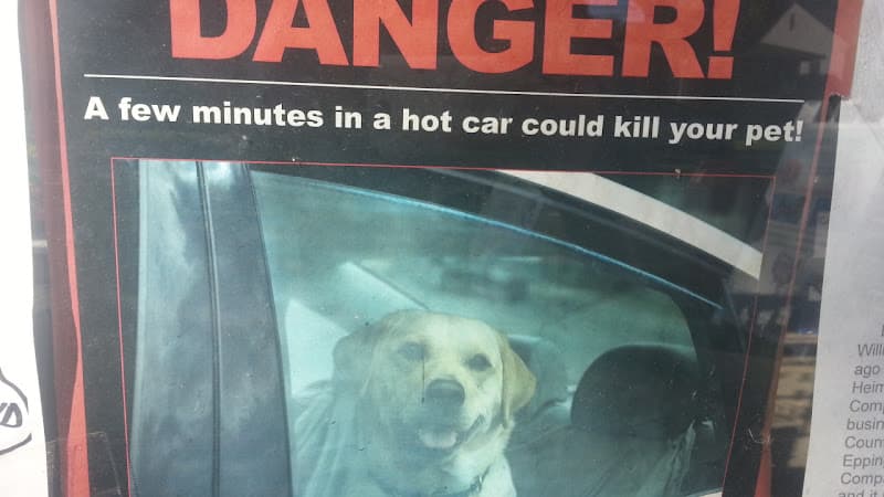 Pet boarding service Western Feed & Pet Supply Sacramento