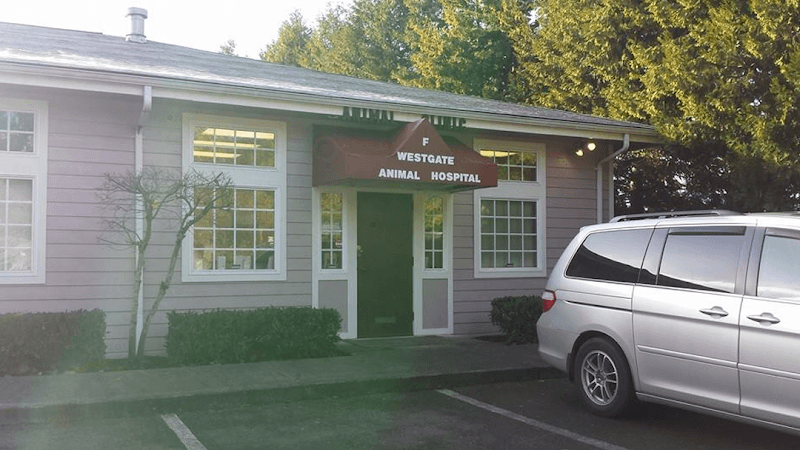 Pet boarding service Westgate Animal Hospital Tacoma