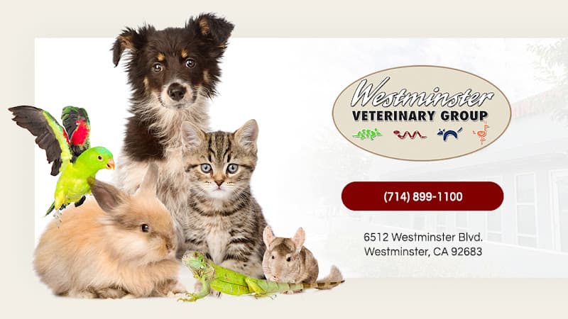 Pet boarding service Westminster Veterinary Group Westminster