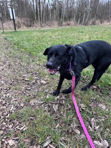 Pet boarding service Whatcom Humane Society Bellingham