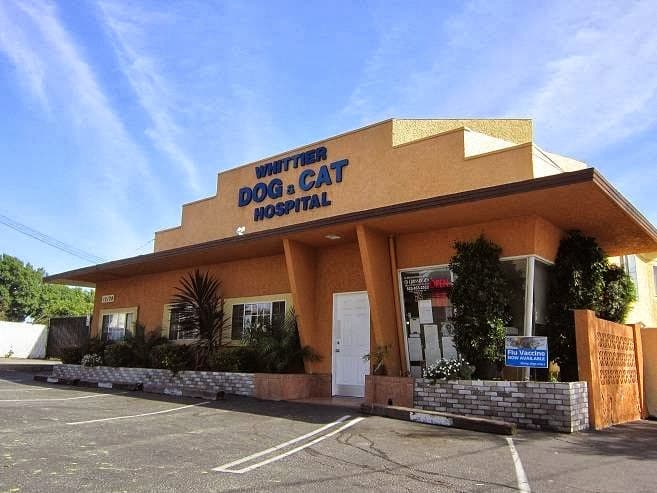 Pet boarding service Whittier Dog and Cat Hospital El Monte