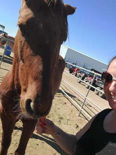 Pet boarding service Wild At Heart Horse Rescue Lancaster