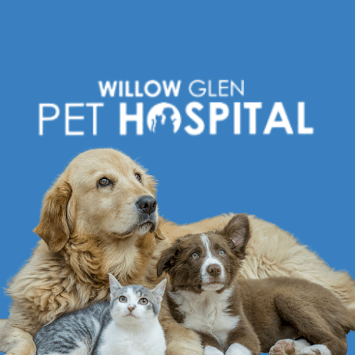 Pet boarding service Willow Glen Pet Hospital San Jose