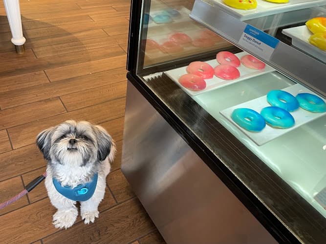 Pet boarding service Woofpak Pet Kitchen Irvine