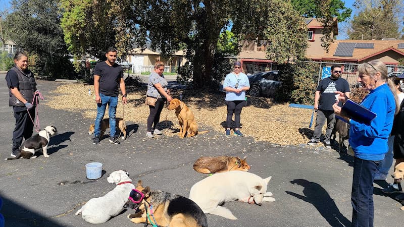 Pet vet ACT Spay/Neuter Clinic Stockton