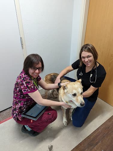 Pet vet Anchorage Veterinary Clinic and Urgent Care Anchorage