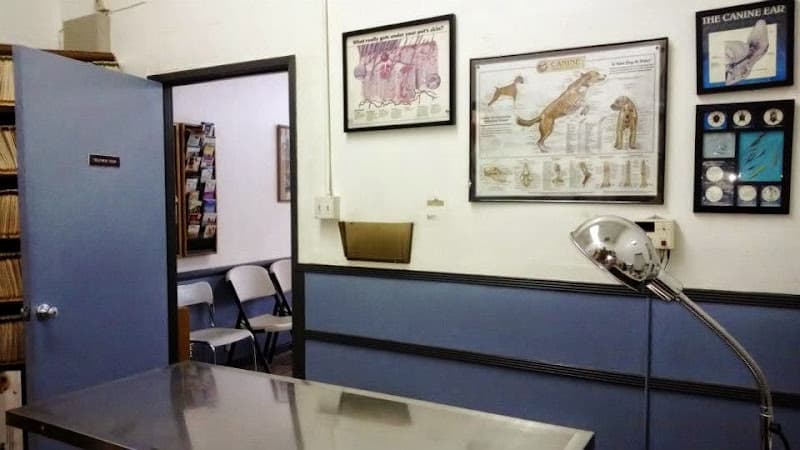 Pet vet Animal Clinic-La Mirada Fullerton