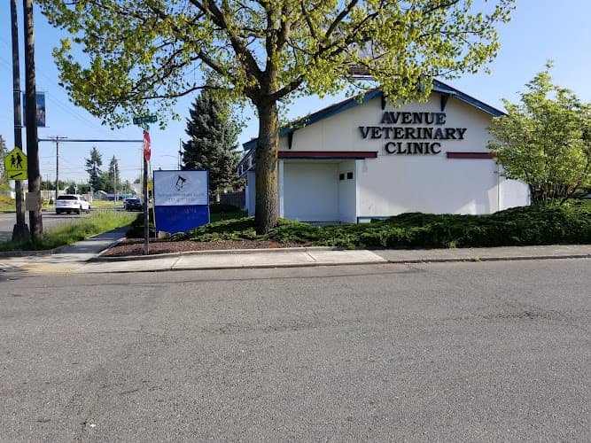 Pet vet Avenue Veterinary Clinic, Dr. Sabari Haviland, DVM Tacoma