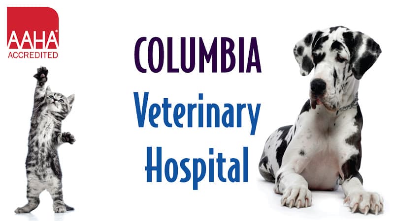 Pet vet Columbia Veterinary Hospital, A Thrive Pet Healthcare Partner Tacoma