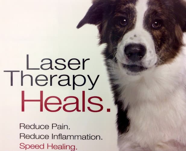 Pet vet Companion Pet Care Carlsbad