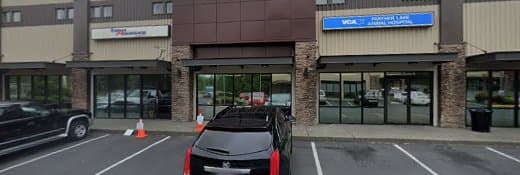 Pet vet Dickerson Bendetta DVM Federal Way