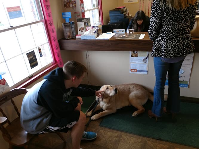 Pet vet Green River Veterinary Hospital Kent