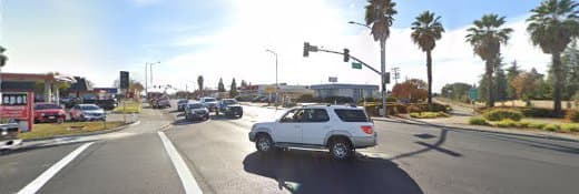 Pet vet Kelly Palm, DVM Fairfield