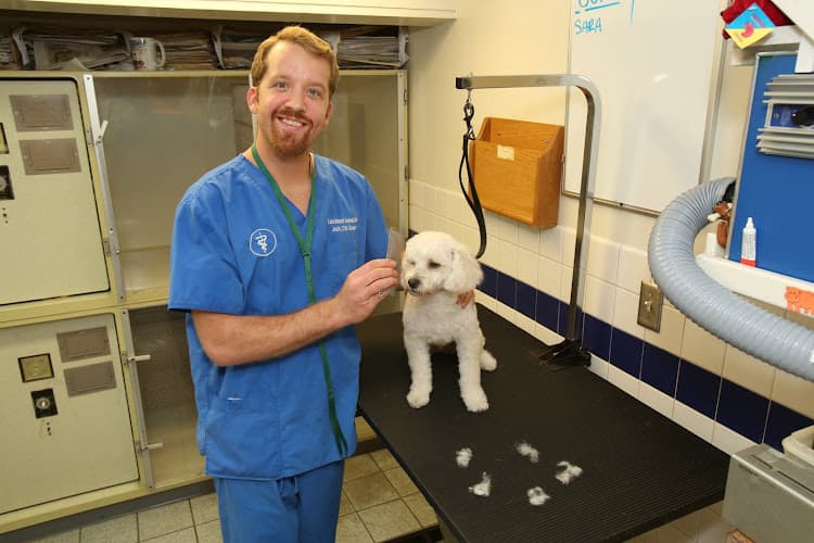 Pet vet Larchmont Animal Clinic Los Angeles