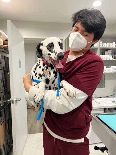 Pet vet Larchmont Village Vet Los Angeles