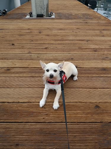 Pet vet Lemos Feed & Pet Supply Santa Barbara