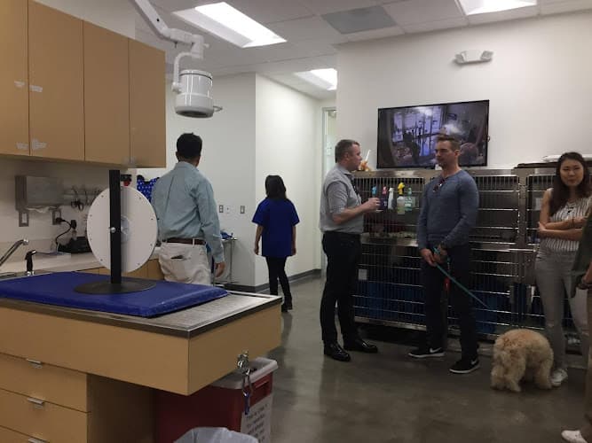 Pet vet Little Tokyo Pet Clinic Los Angeles