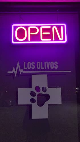 Pet vet Los Olivos Animal Hospital, Daily routine & Emergency care Riverside