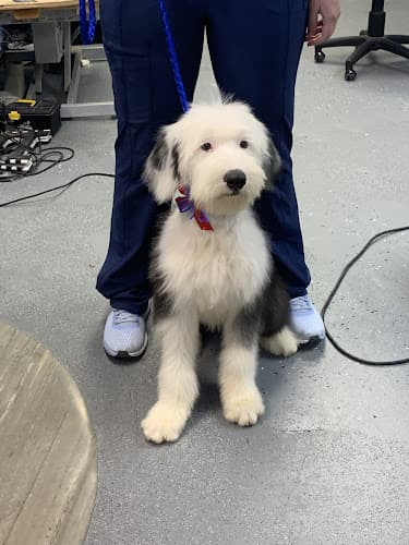 Pet vet Pacific Pet Parlour San Marcos