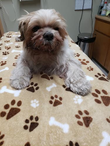 Pet vet Panorama Pet Hospital Burbank