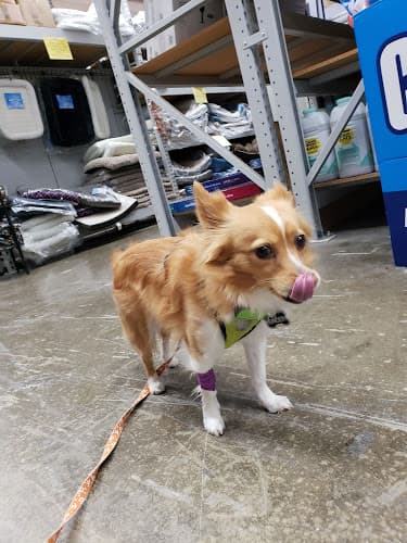 Pet vet Pet Club Fairfield Fairfield