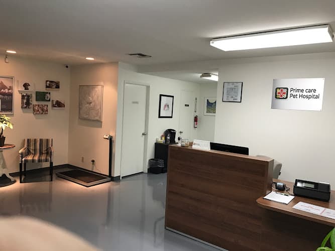 Pet vet Prime Care Pet Hospital Fullerton