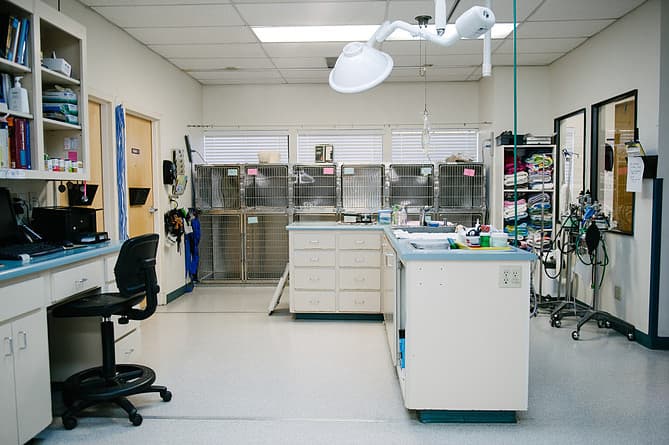 Pet vet Solano-Napa Pet Emergency Clinic Fairfield