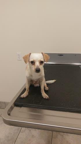 Pet vet Stockton Veterinary Specialty Center & Pet Hotel Stockton